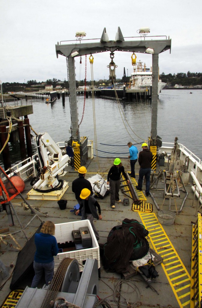 Boat Back Bunch - Photo by: Paul Suprenand