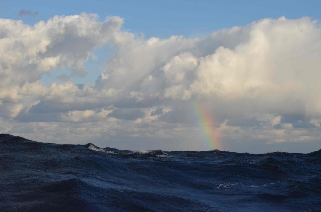 Seen to starboard this morning, not too long after sunrise.