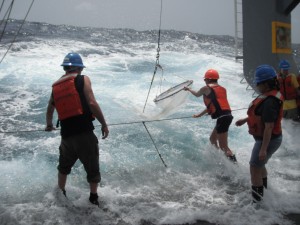 Left to right: Jarrod, Tina, & Adelaide deploying a plankton net