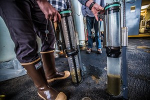 Multi-core tubes with a recovery of approximately 6 inches of sediment. Although this does not seem like a lot, with a sediment accumulation rate of around 1/16 -1/8 inch per year, these sediments have likely recorded at least the last 50 years. Once back to land, I will use a combination of different radioisotopes to determine these rates more precisely. Photo credit to Robyn Von Swank, instagram: @vonswank.